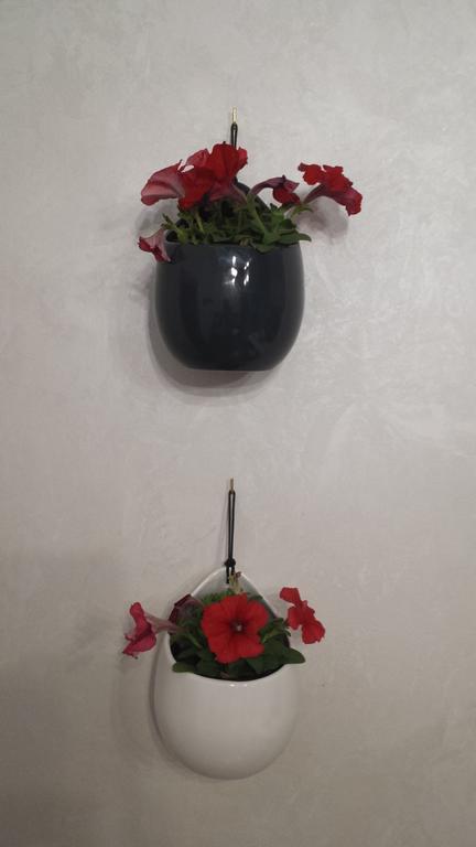 Apartment Fini